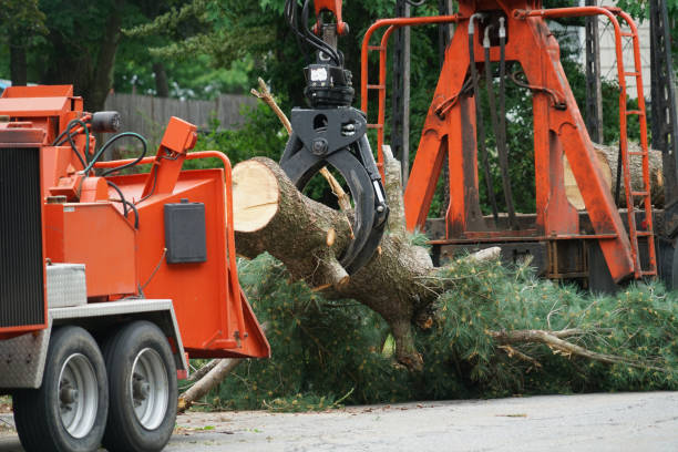 Best Hedge Trimming  in Vineyard, UT